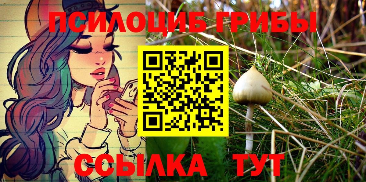 Псилоцибиновые грибы Cubensis  Вход с VPN  Трёхгорный 